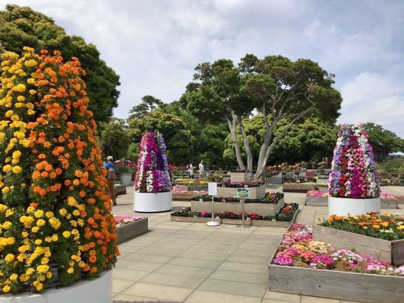 Kamakura Private Tour - Enoshima Samuel Cocking Garden, a botanical garden, originally built by a British trader, Samuel Cocking, in Enoshima Area 