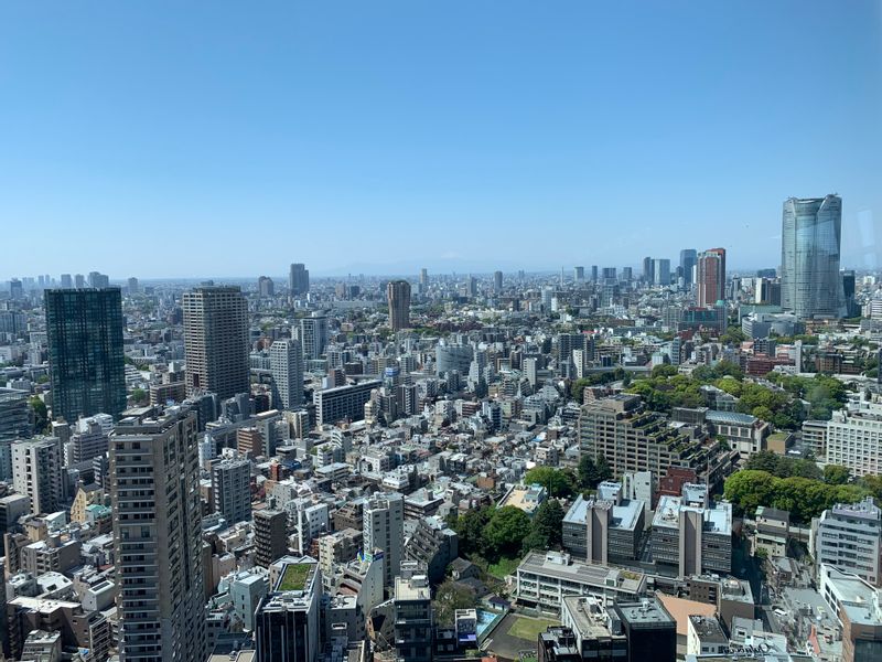 Tokyo Private Tour - Bird’s Eye View from Tokyo Tower