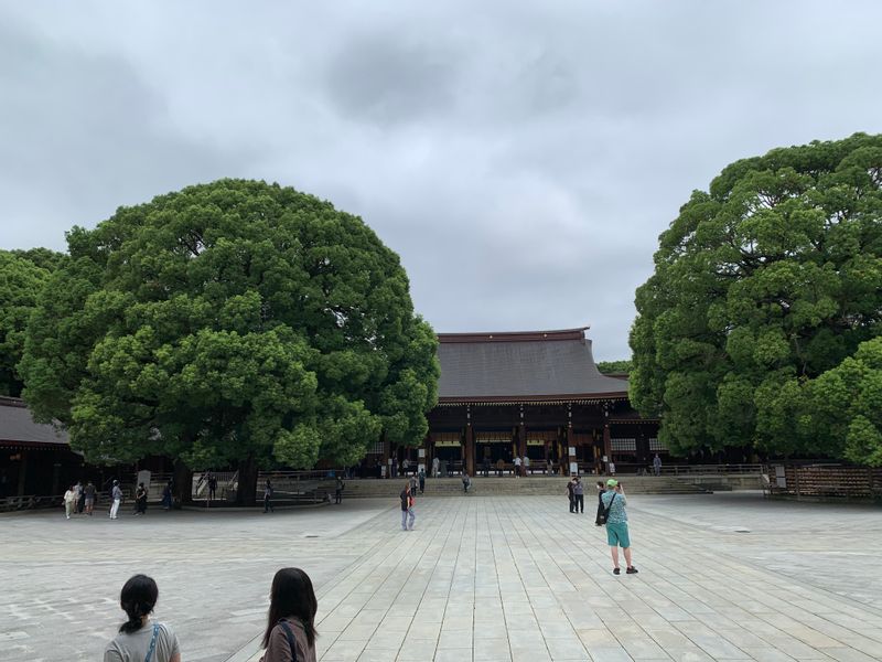 Tokyo Private Tour - Meijijingu Shrine