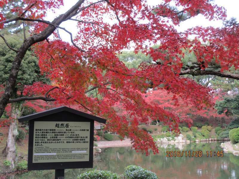 Hiroshima Private Tour - Beautiful Autumn leaves