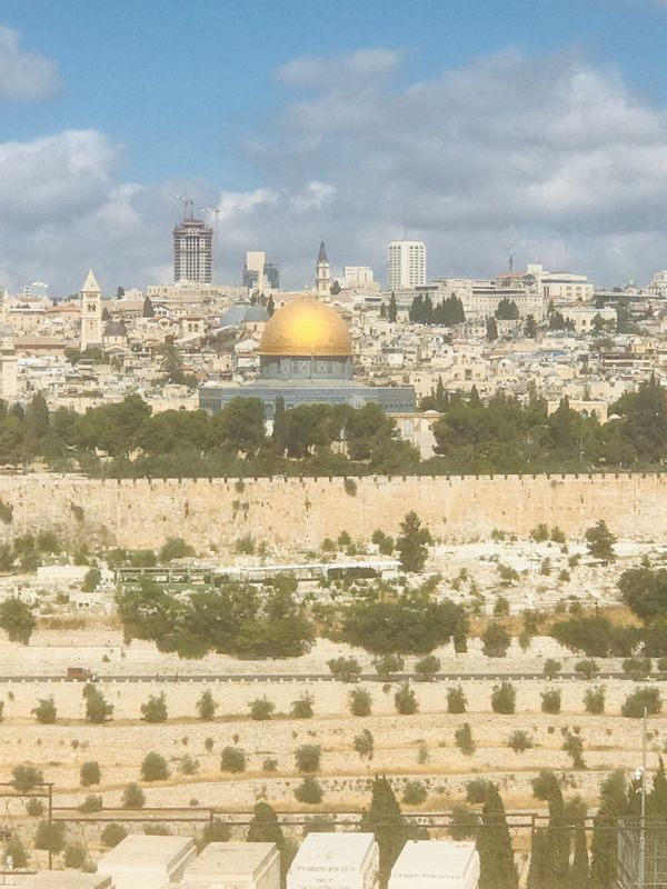 Jerusalem Private Tour - Temple Mount from Mount of Olives