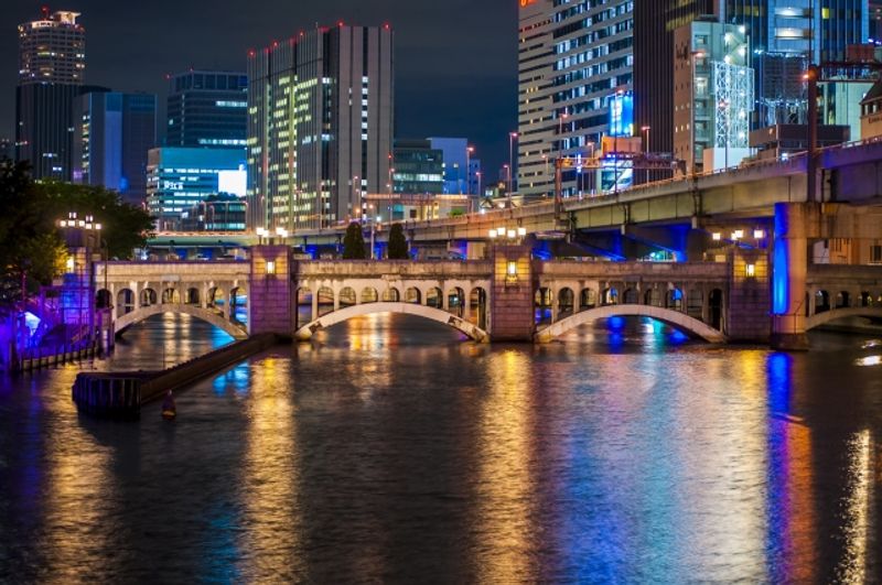 Osaka Private Tour - Urban Expressway and Suisho (Crystal) Bridge