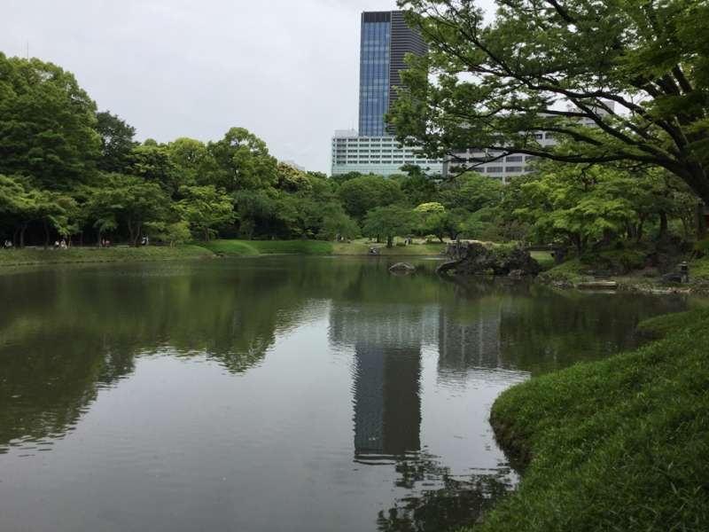 Tokyo Private Tour - 3a. Koishikawa Korakuen Garden (Main pond)