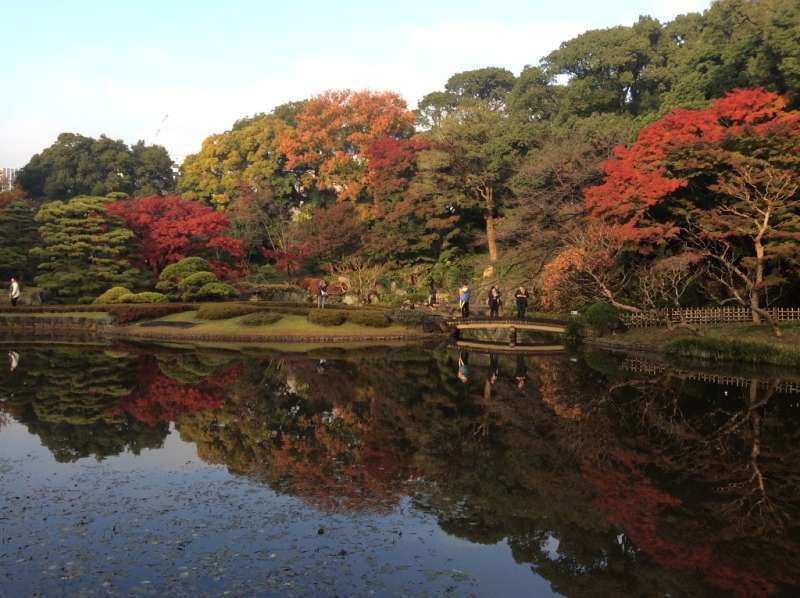 Tokyo Private Tour - 6a. Ninomaru Garden of the Imperial Palace (Autumn leaves) 
