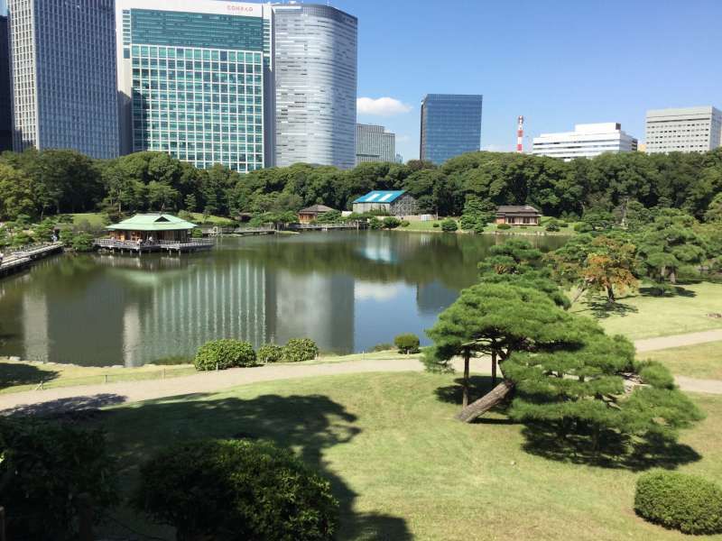 Tokyo Private Tour - 5a. Hamarikyu Garden (Main pond with a tea house)
