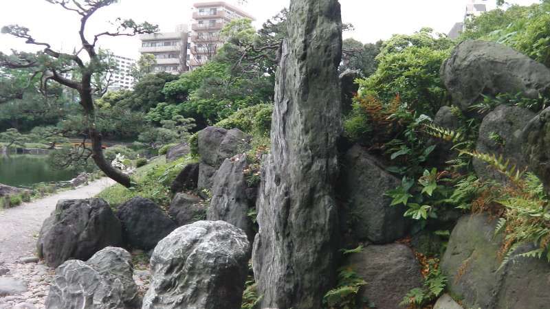 Tokyo Private Tour - 2b. Kiyosumi Garden (Collection of Japanese rocks)
