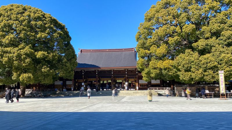 Tokyo Private Tour - Meiji Jingu Shrine