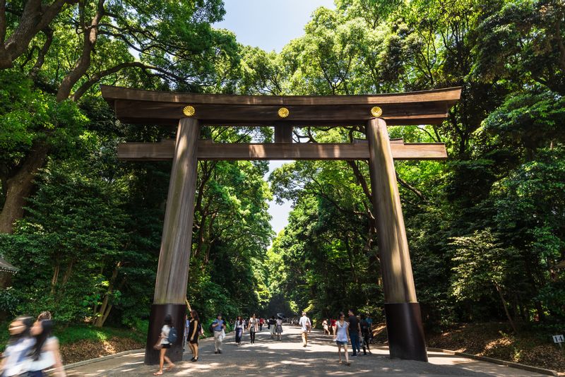 Tokyo Private Tour - Meiji Jingu Shrine