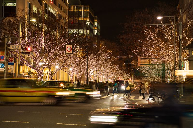 Tokyo Private Tour - Omotesando Street