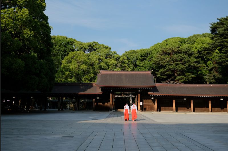 Tokyo Private Tour - Meiji Jingu Shrine