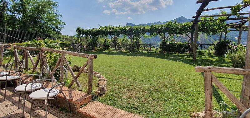 Amalfi Coast Private Tour - One of the view of our vineries.