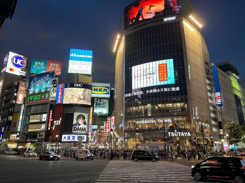 Tokyo Private Tour - Shibuya Crossing