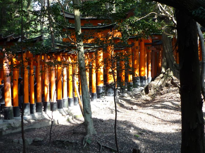 Kyoto Private Tour - Fushimi-Inari  Shrine (Thousand Torii gates called Senbon Torii , the view from the outside)