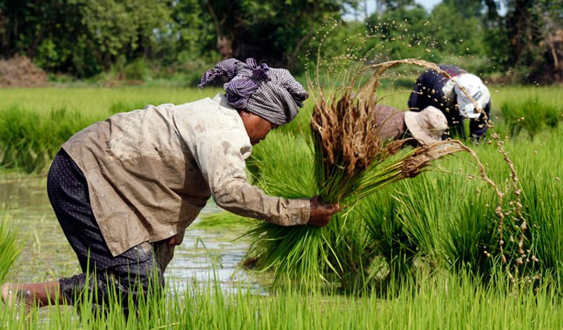 Siem Reap Private Tour - null