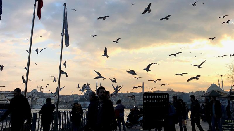 Istanbul Private Tour - Sea front