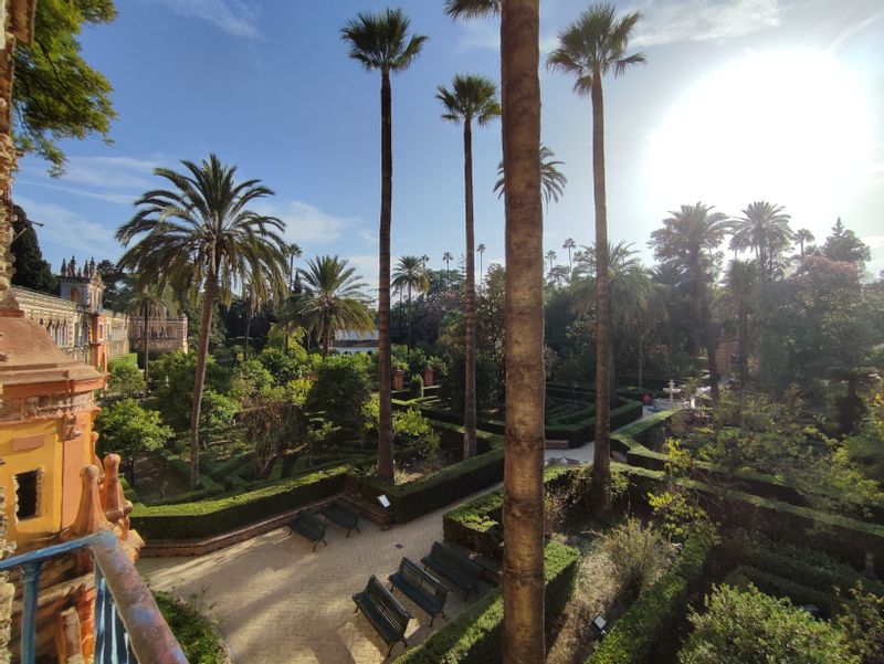 Seville Private Tour - Royal Alcazar's Gardens