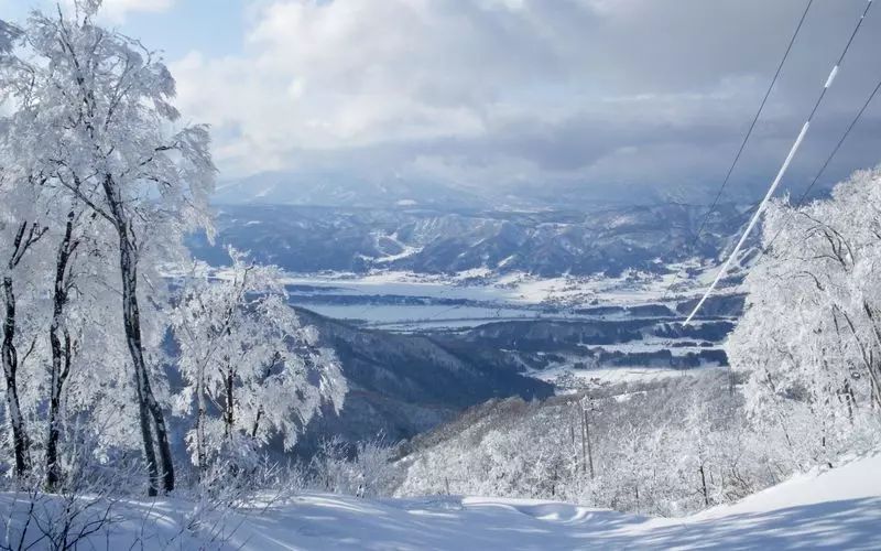 Nagano Private Tour - null