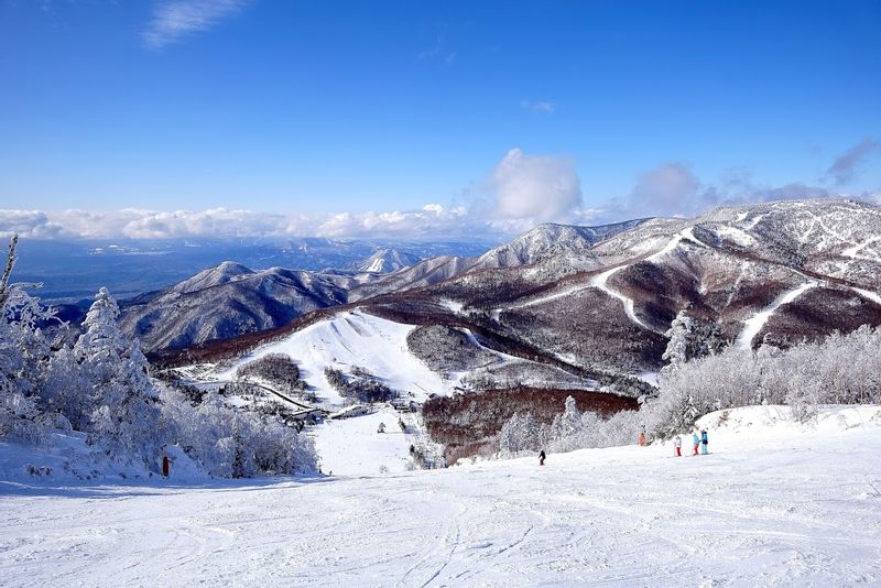 Nagano Private Tour - null