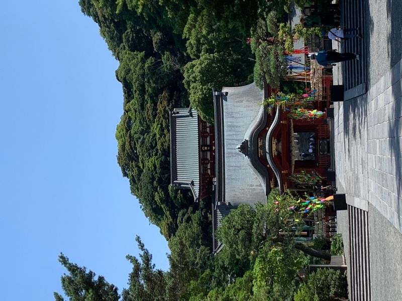 Kamakura Private Tour - Kamakura Hachimangu Shrine 