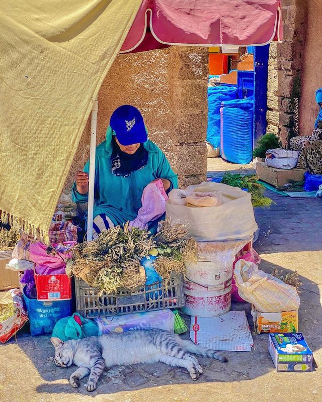 Essaouira Private Tour - null