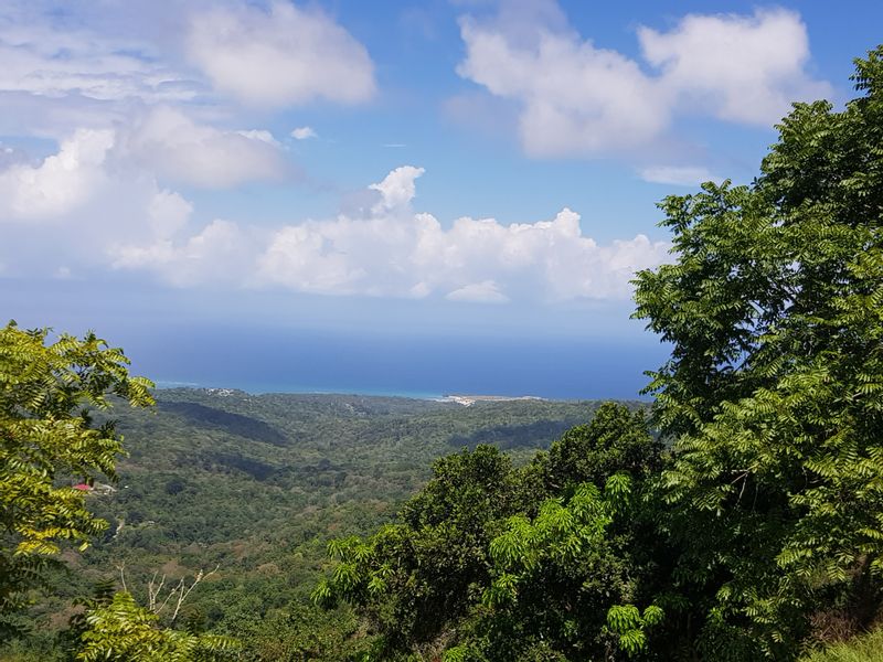 Ocho Rios Private Tour - A bird's eye view from the mountains!