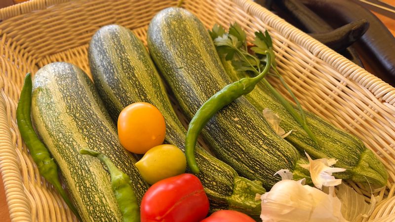 Amalfi Coast Private Tour - Vegetable Appetizer