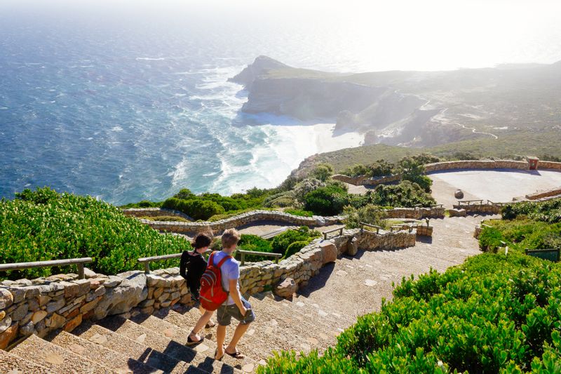 Cape Town Private Tour - null