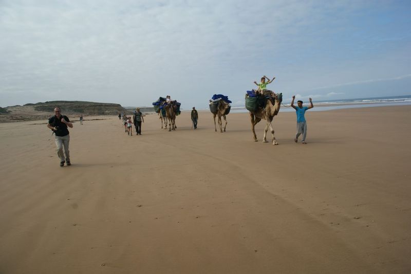 Essaouira Private Tour - null