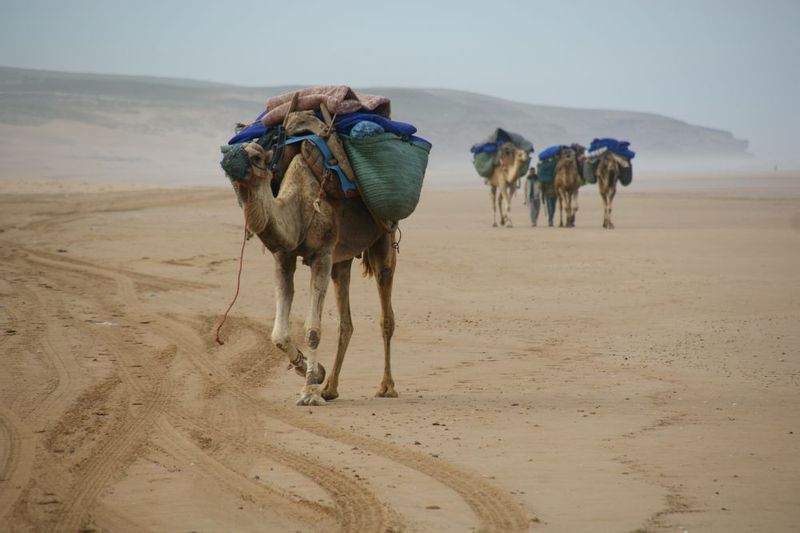 Essaouira Private Tour - null