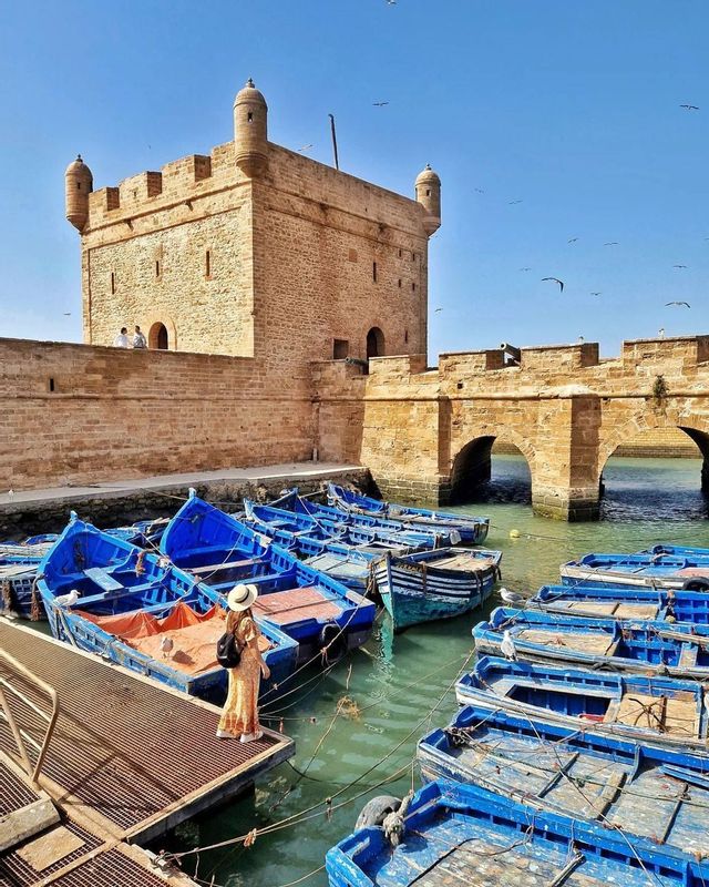 Essaouira Private Tour - null