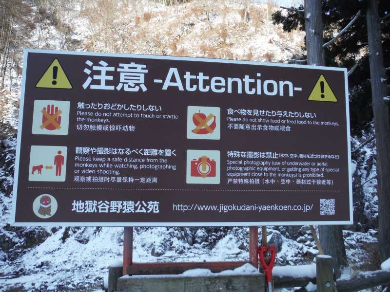 Nagano Private Tour - cautions