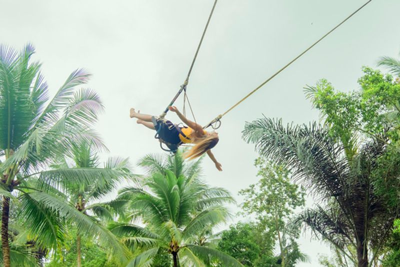 Bali Private Tour - Swings with rice view