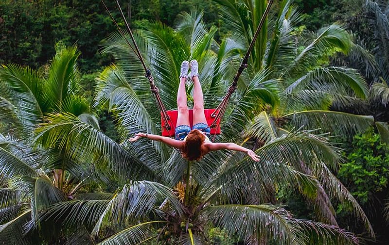 Bali Private Tour - at Swings jungle 