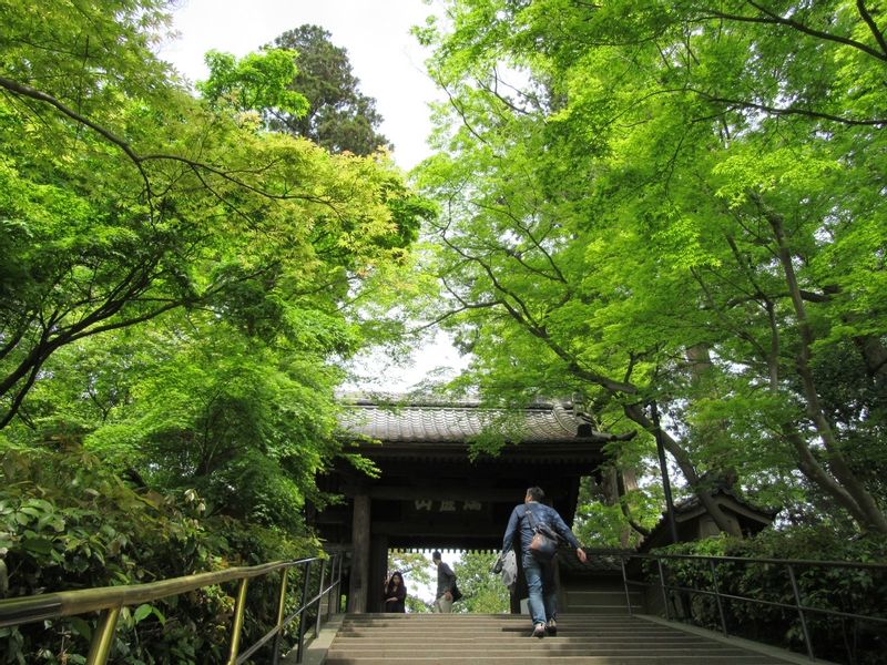 Kamakura Private Tour - Engakuji Temple