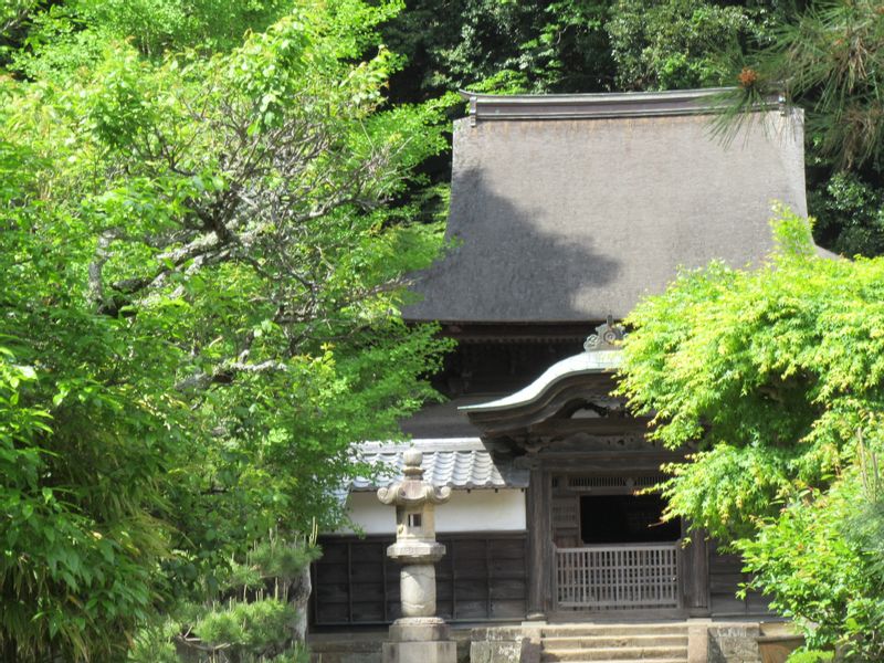 Kamakura Private Tour - Engakuji Temple