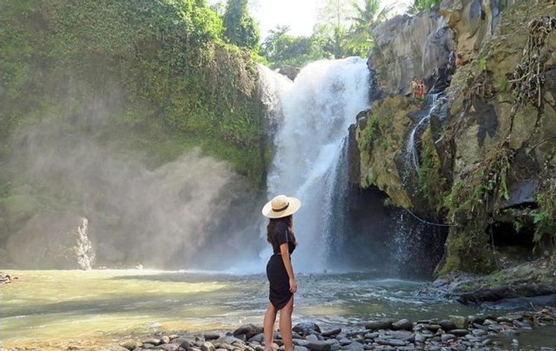 Bali Private Tour - Tegenungan Waterfall in Gianyar Bali