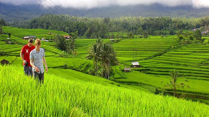 Bali Private Tour - Jati Luwih "UNESCO" Rice Terraces