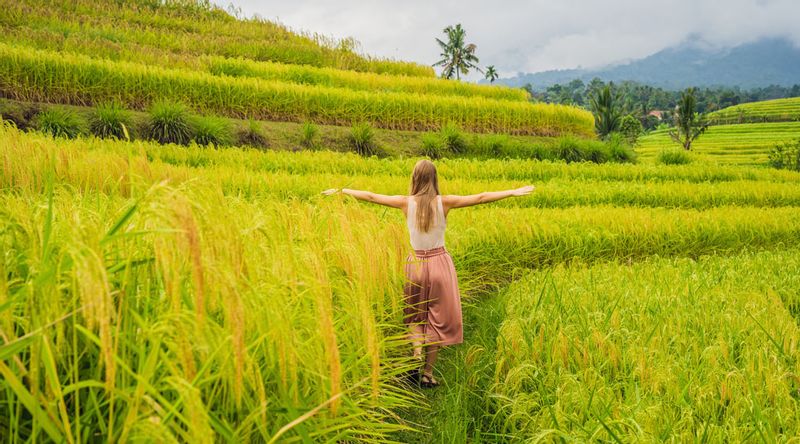 Bali Private Tour - Jati Luwih "UNESCO" Rice Terraces