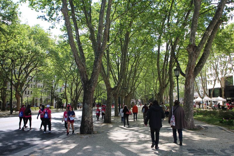 Lisbon Private Tour - Avenida da Liberdade