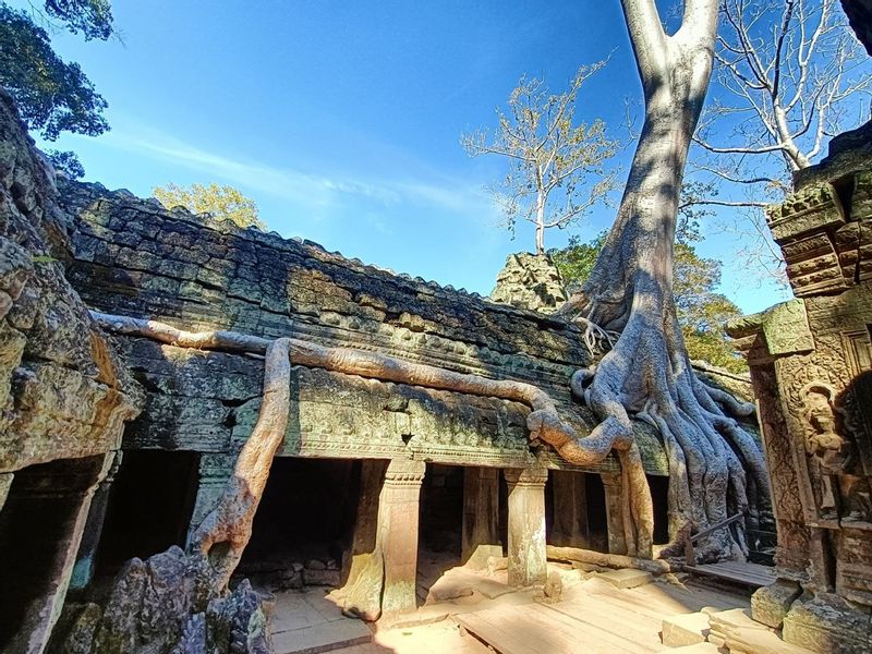 Siem Reap Private Tour - Ta Prohm