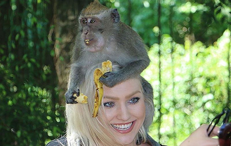 Bali Private Tour - Ubud Sanctuary Monkey Forest