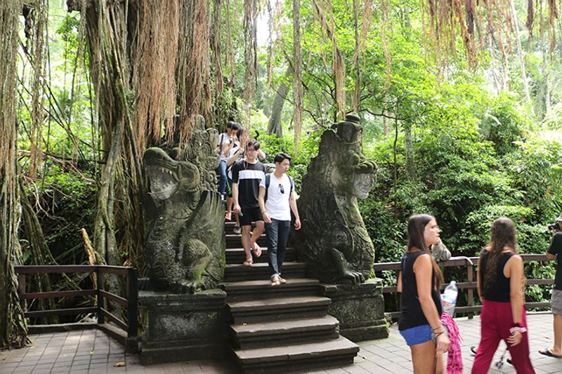 Bali Private Tour - Ubud Sanctuary Monkey Forest