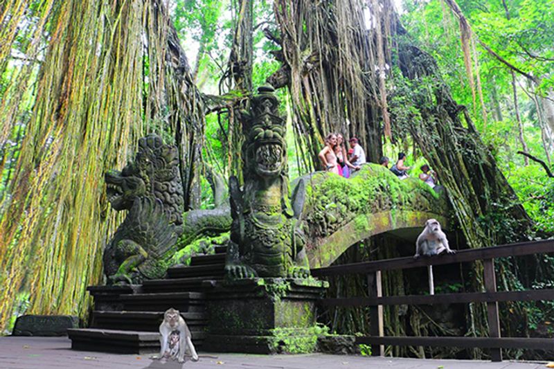 Bali Private Tour - Ubud Sanctuary Monkey Forest