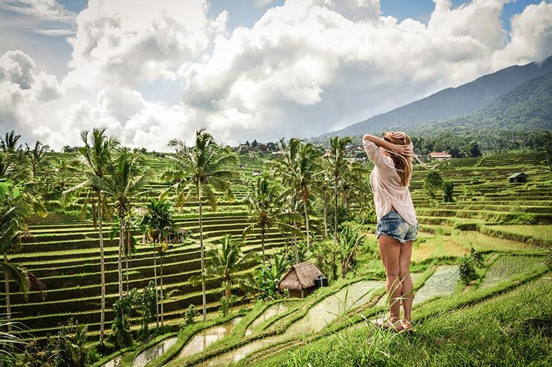 Bali Private Tour - Tegal Lalang Rice Terraces