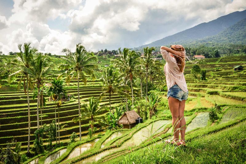 Bali Private Tour - Jati Luwih Rice Terraces View in the West of Tabanan Bali