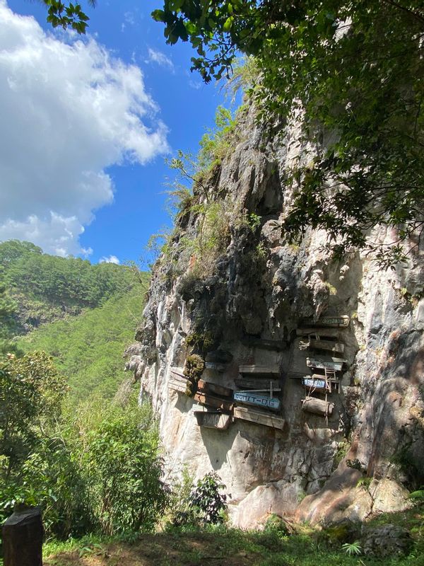 Manila Private Tour - The hanging caffins