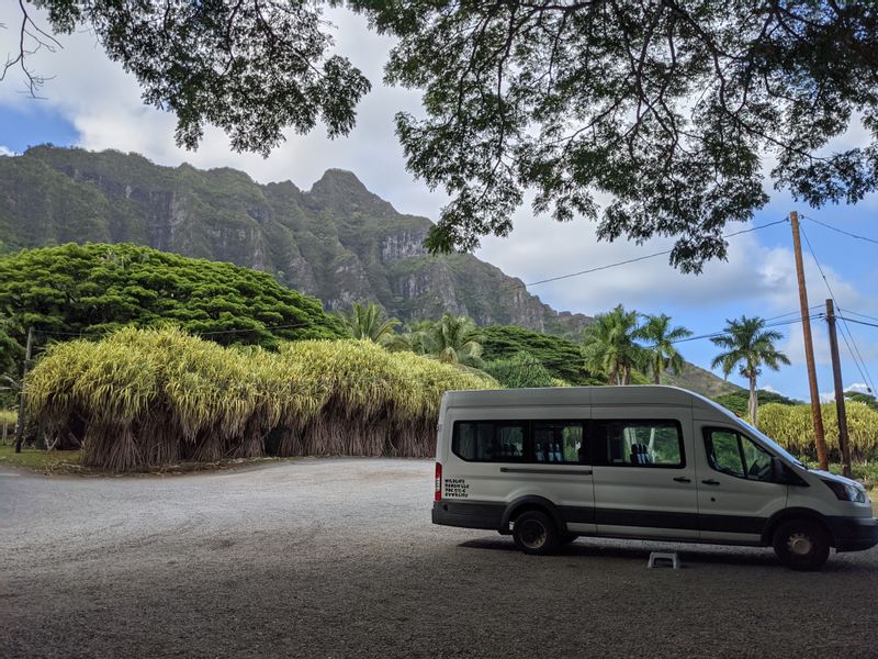 Hawaii (Oahu) Private Tour - Private tour van