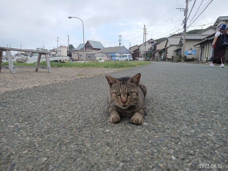 Fukuoka Private Tour - null