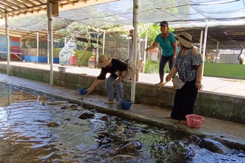 Bali Private Tour - Bali Turtle Feeding and Conservation island tour