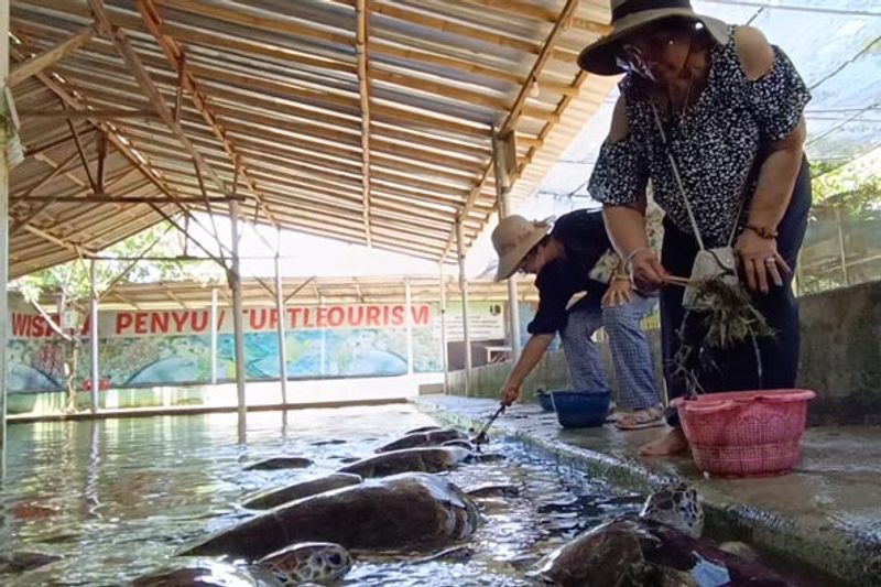 Bali Private Tour - Bali Turtle Feeding and Conservation island tour